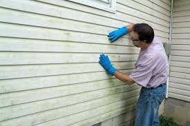 Best Fiber Cement Siding Installation  in Bostonia, CA